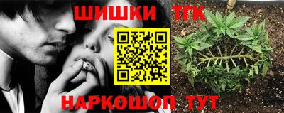 каннабис Камышлов
