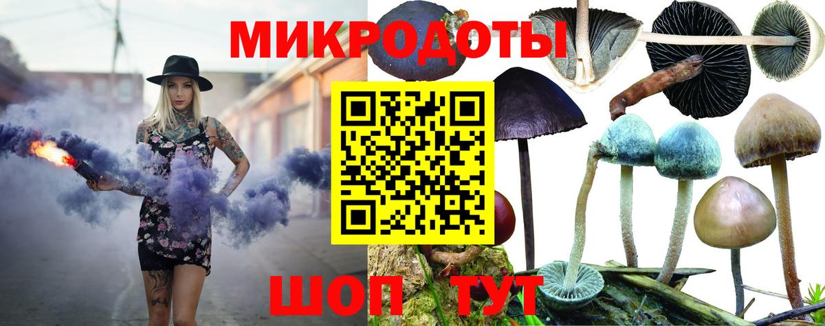 Галлюциногенные грибы Psilocybine cubensis  Вход с VPN  Королёв  Псилоцибиновые грибы Cubensis 
